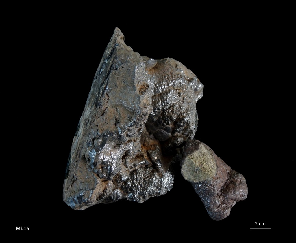 Nodules de pyrite - Lias inférieur - (85 - Jard-sur-Mer)