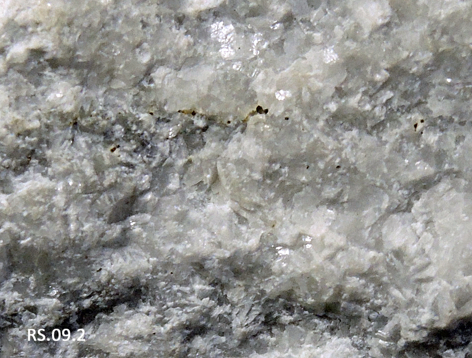 Détail - Quartzite - Hettangien - (64 - Val du Gave d'Ossau)