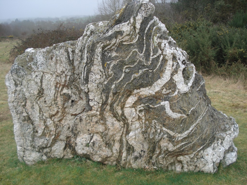 Alternance de bancs de quartzite et de schiste - Ordovicien - (35 - Lande de Cojoux - Saint-Just)
