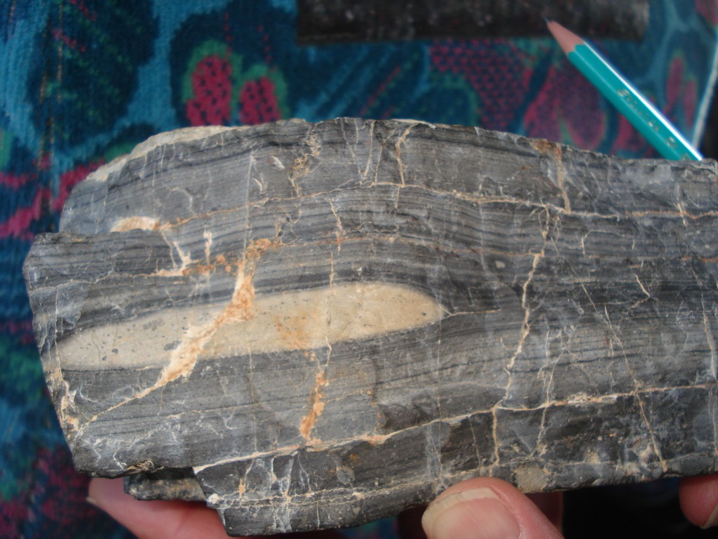 Section polie d'une phtanite (49 - Rochefort-sur-Loire) - échantillon de Fabrice Redois 