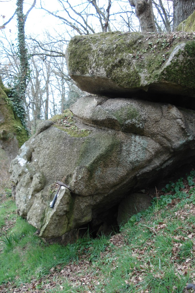 Filon d'aplite dans du granite leucocrate du Massif de Mortagne-sur-Sèvre (85 - Saint-Laurent-sur-Sèvre) 