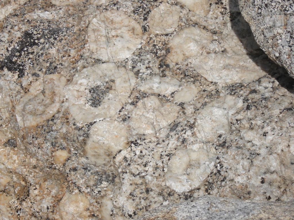 AVG. 2014.09.06. Pays de Léon - Poulsou – Granite de l’Aber-Ildut à faciès orbiculaire 